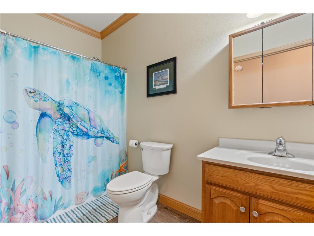25759 State Highway 55 Lowry MN 56349 7105816 image37