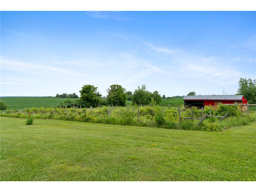 25759 State Highway 55 Lowry MN 56349 7105816 image49
