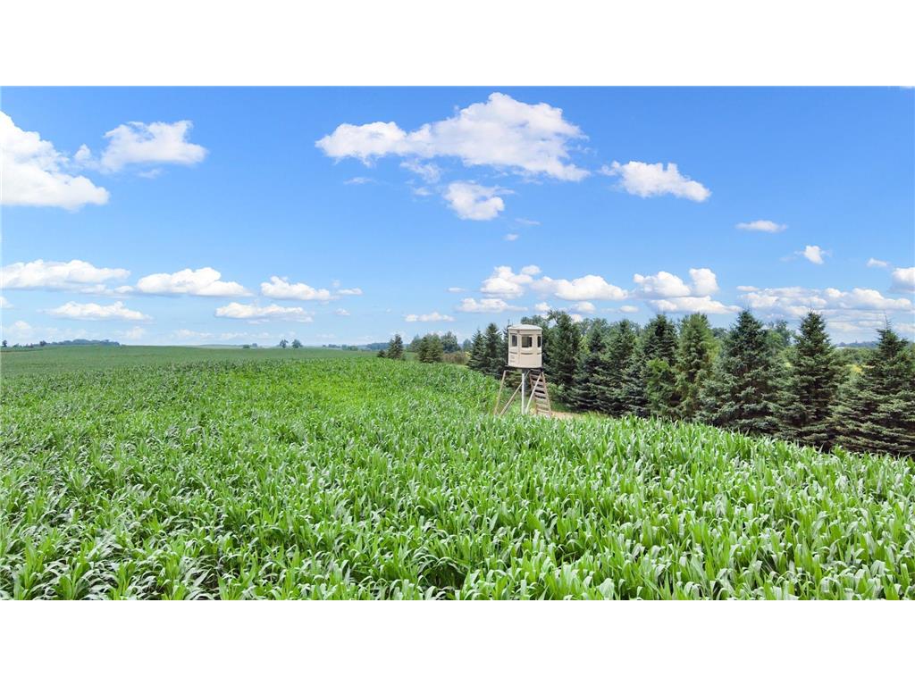 25759 State Highway 55 Lowry MN 56349 7105816 image88