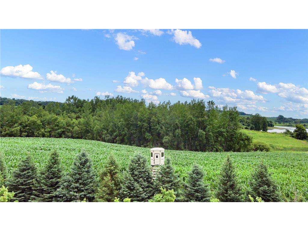 25759 State Highway 55 Lowry MN 56349 7105816 image89