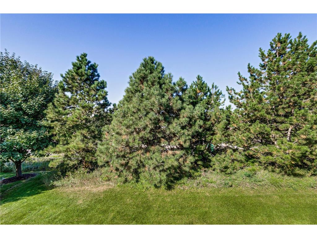 2576 Waterfall Way NW Prior Lake MN 55372 6821030 image27