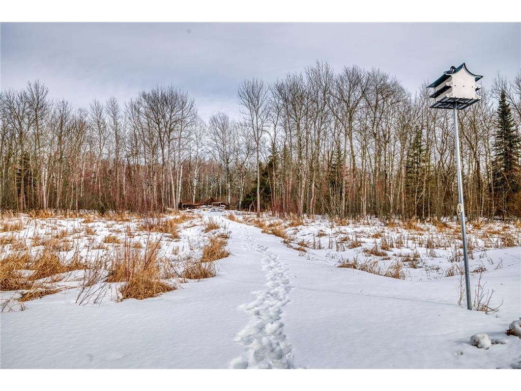 25780 Liliput Lane NE Waskish Twp MN 56685 - Red 7043389 image41
