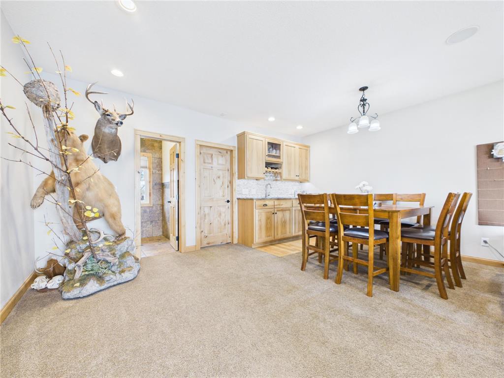 25797 Silver Beach Road Minnewaska Twp MN 56334 - Minnewaska 7059862 image9