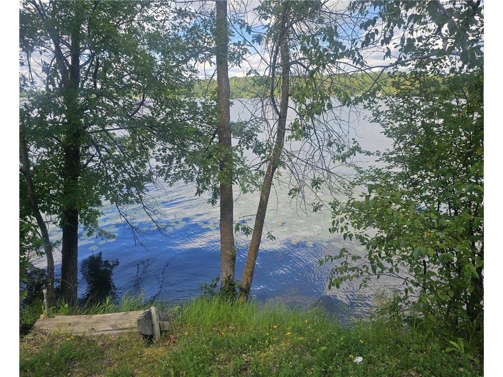 25813 County Road 133 Deerwood MN 56444 - Hamlet 6695451 image3