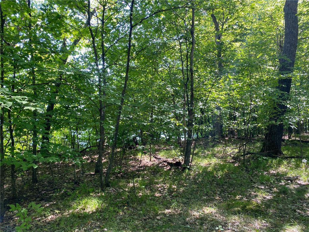 25819 Frieda Drive Detroit Lakes MN 56501 - Little Pelican 7030130 image14