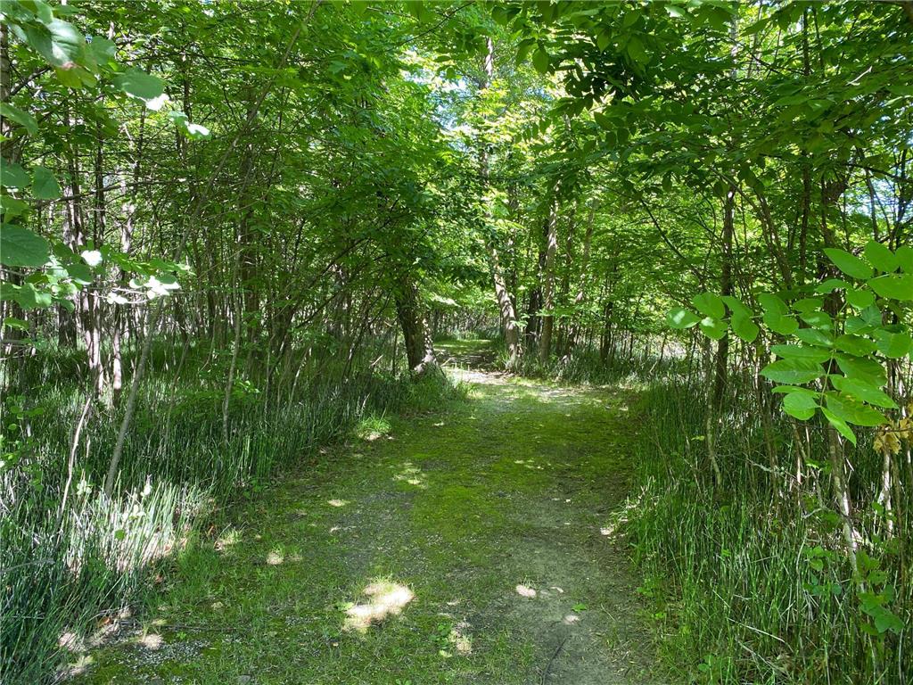 25819 Frieda Drive Detroit Lakes MN 56501 - Little Pelican 7030130 image17