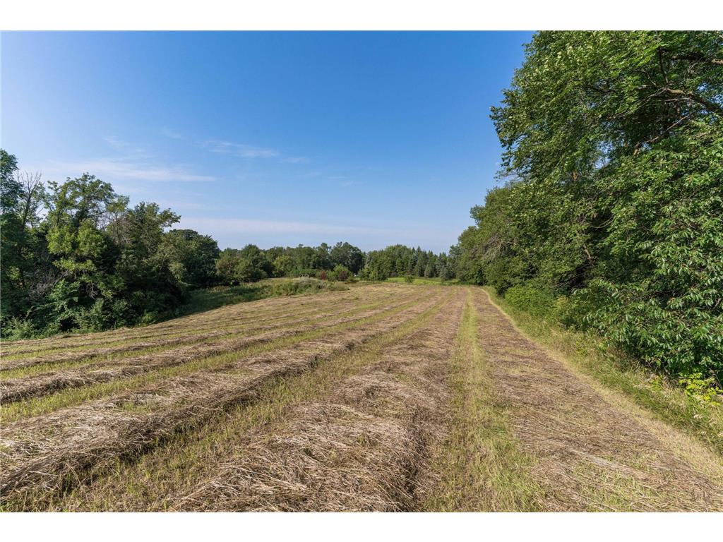 25838 230th Avenue Fergus Falls MN 56537 6770162 image24