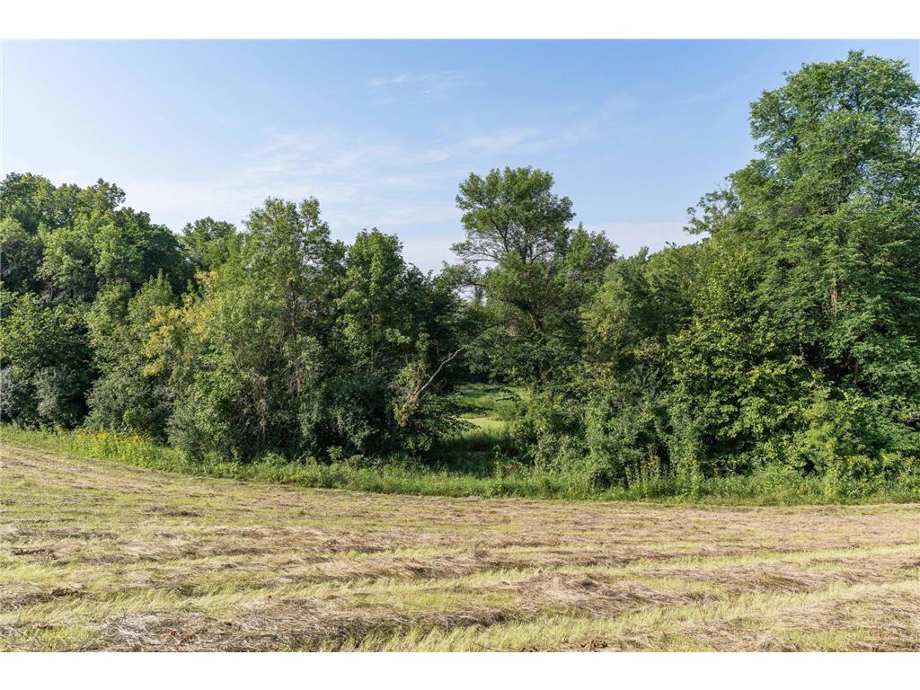 25838 230th Avenue Fergus Falls MN 56537 6770162 image28