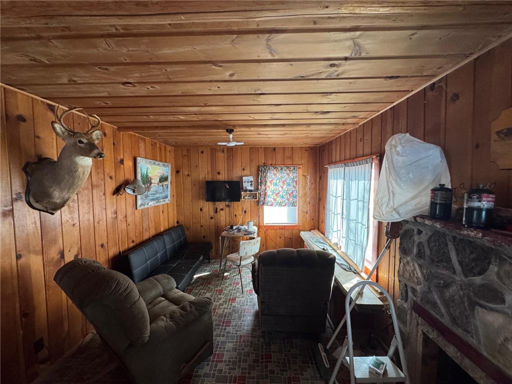 25845 Lou Rayne Beach Road NE Waskish MN 56685 - Red 7066918 image10