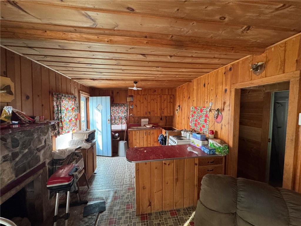 25845 Lou Rayne Beach Road NE Waskish MN 56685 - Red 7066918 image11