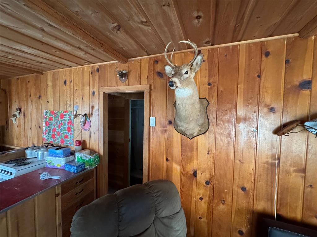 25845 Lou Rayne Beach Road NE Waskish MN 56685 - Red 7066918 image12