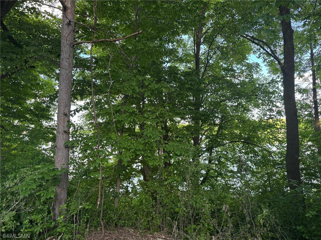2586 210th Avenue Comfort Twp MN 55051 - Quamba 7102498 image11
