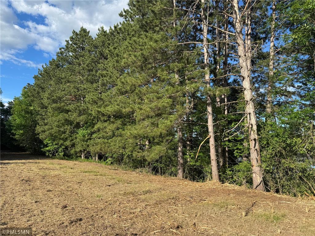 2586 210th Avenue Comfort Twp MN 55051 - Quamba 7102498 image8