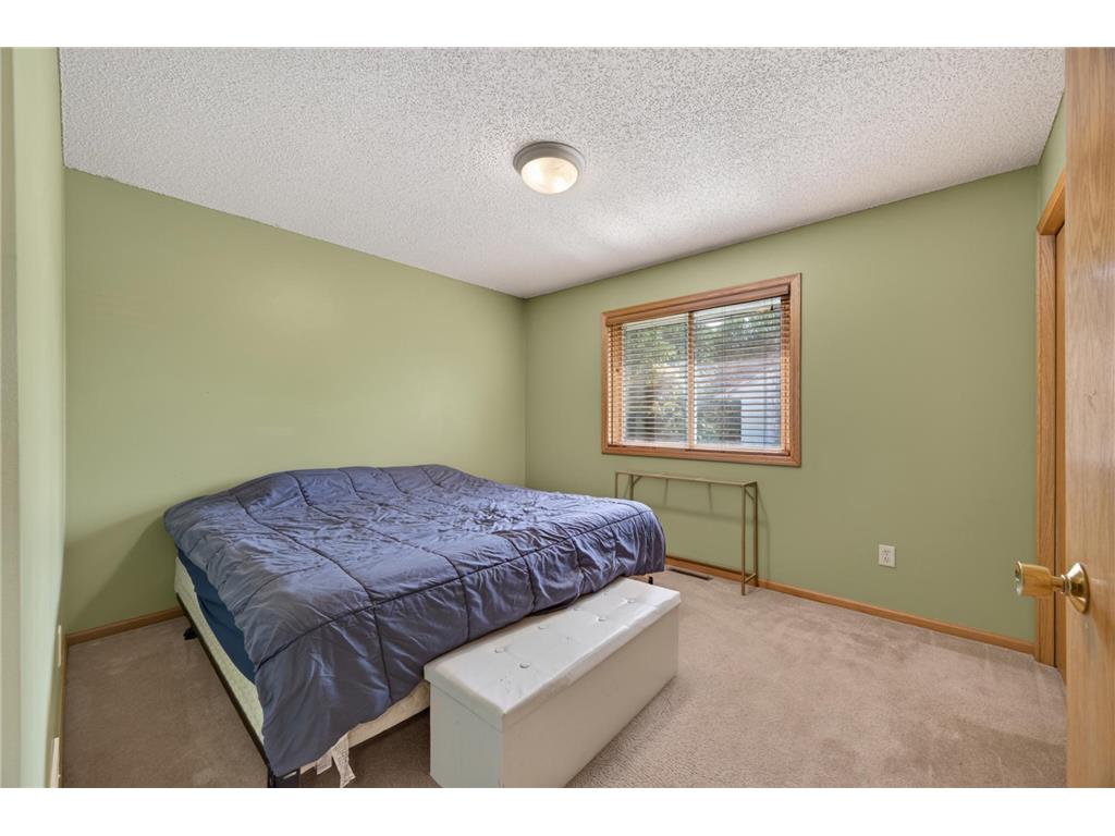 259 Fieldcrest Avenue Montrose MN 55363 7093158 image21
