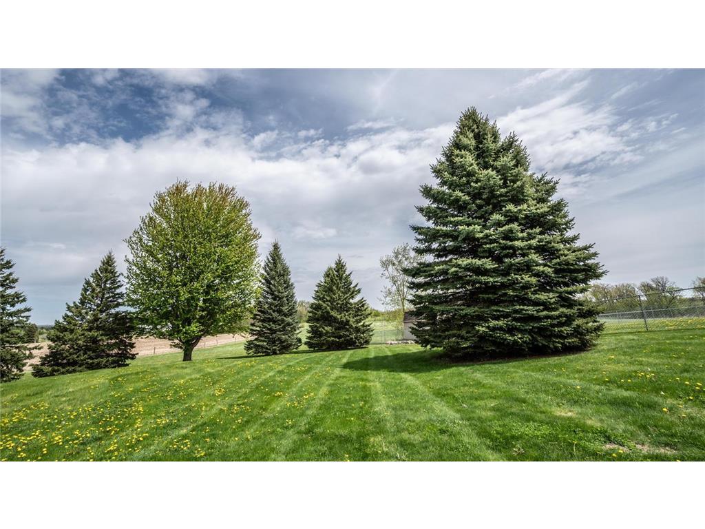 25900 Highview Avenue Eureka Twp MN 55024 7056345 image12