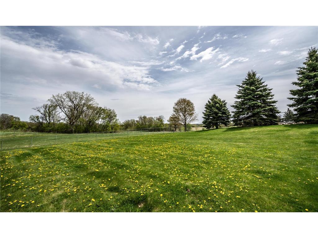 25900 Highview Avenue Eureka Twp MN 55024 7056345 image14