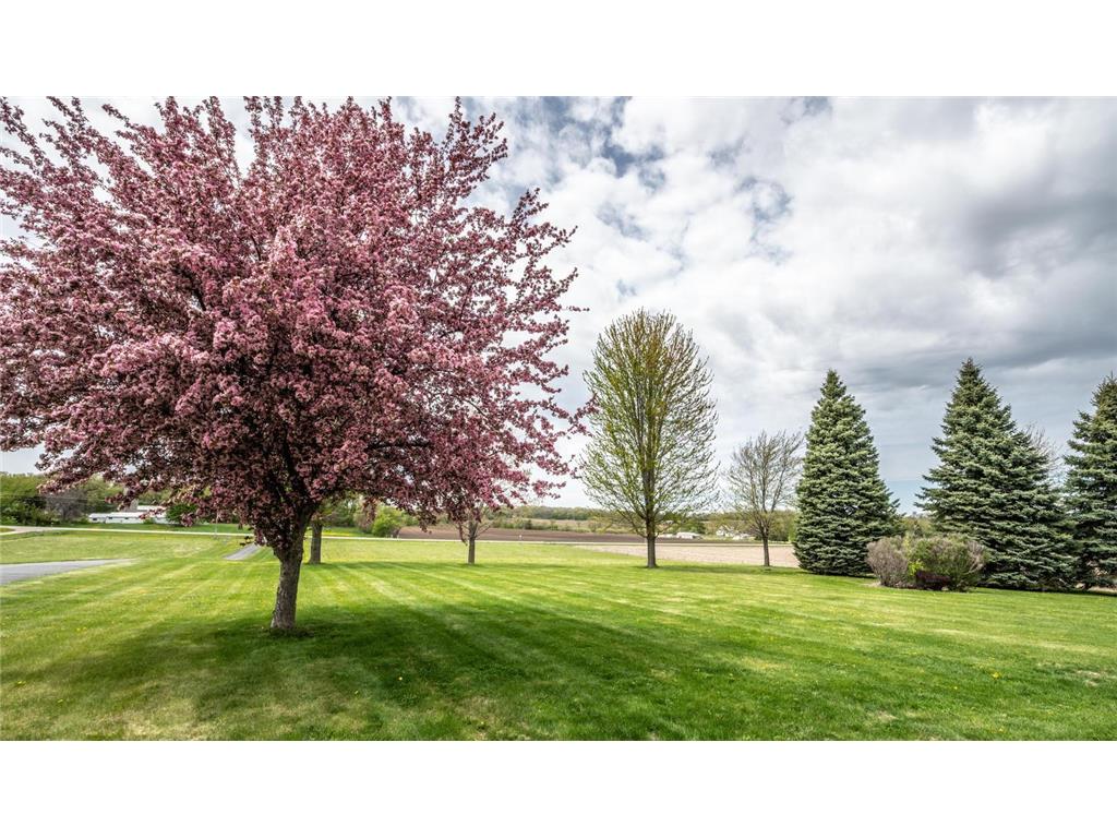 25900 Highview Avenue Eureka Twp MN 55024 7056345 image5