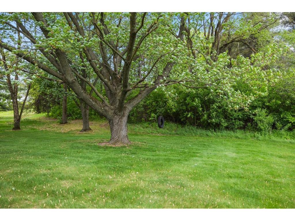 2591 Carver Avenue E Maplewood MN 55119 6702970 image58