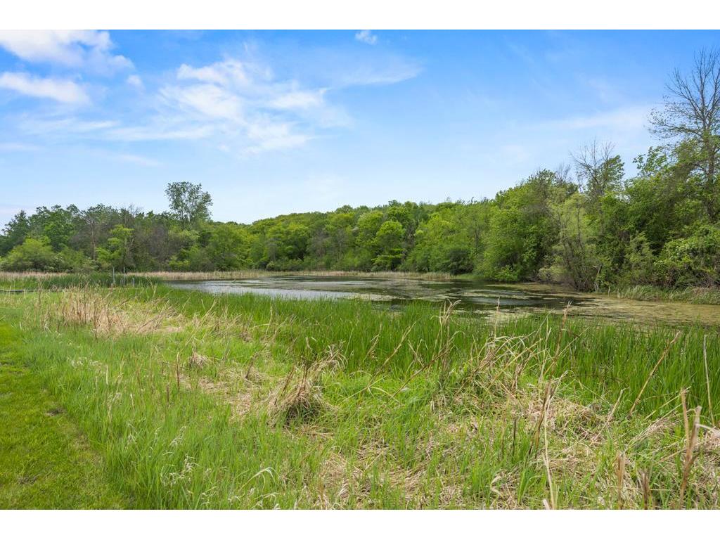 2591 Carver Avenue E Maplewood MN 55119 6702970 image61