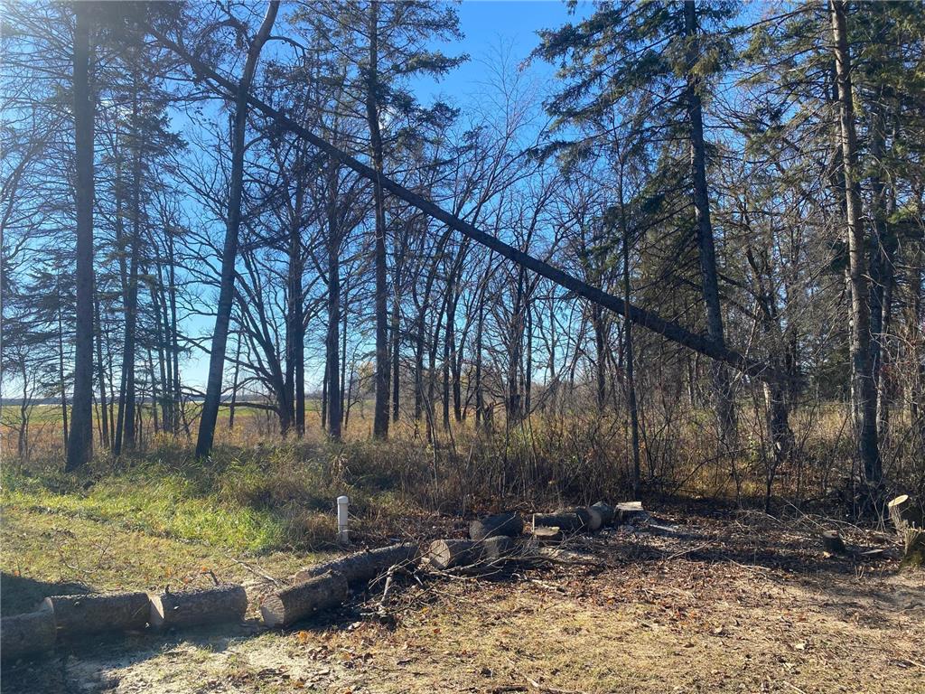 25913 County Road 129 Roseau MN 56751 6817618 image5