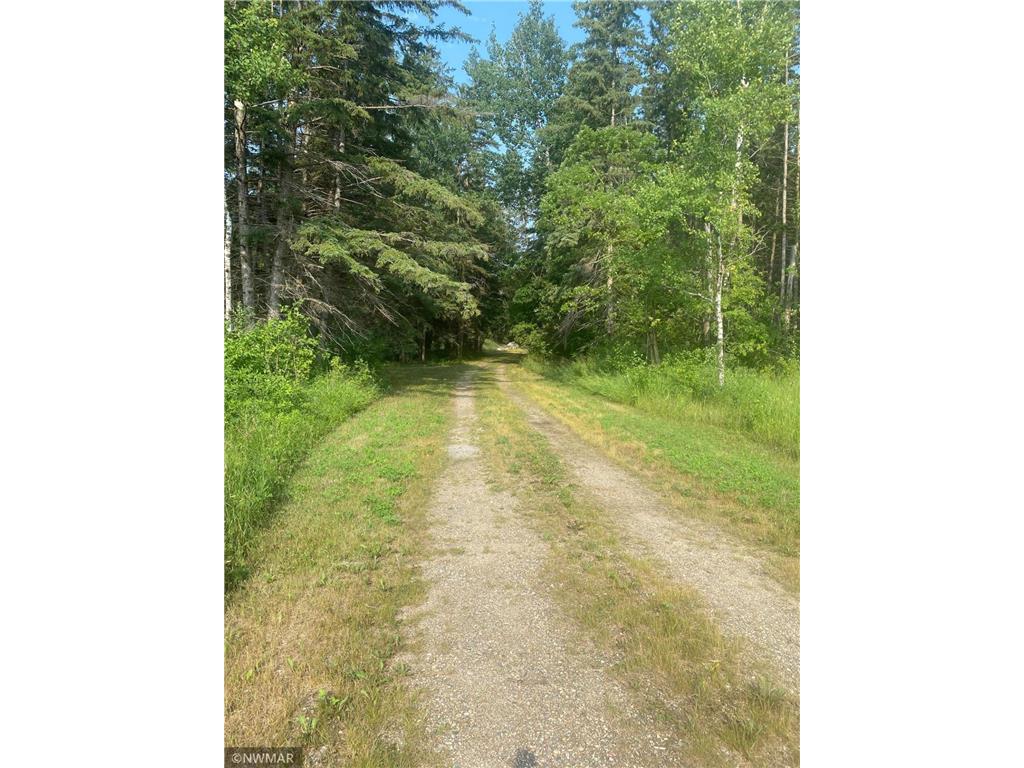 25913 County Road 129 Roseau MN 56751 6817618 image8