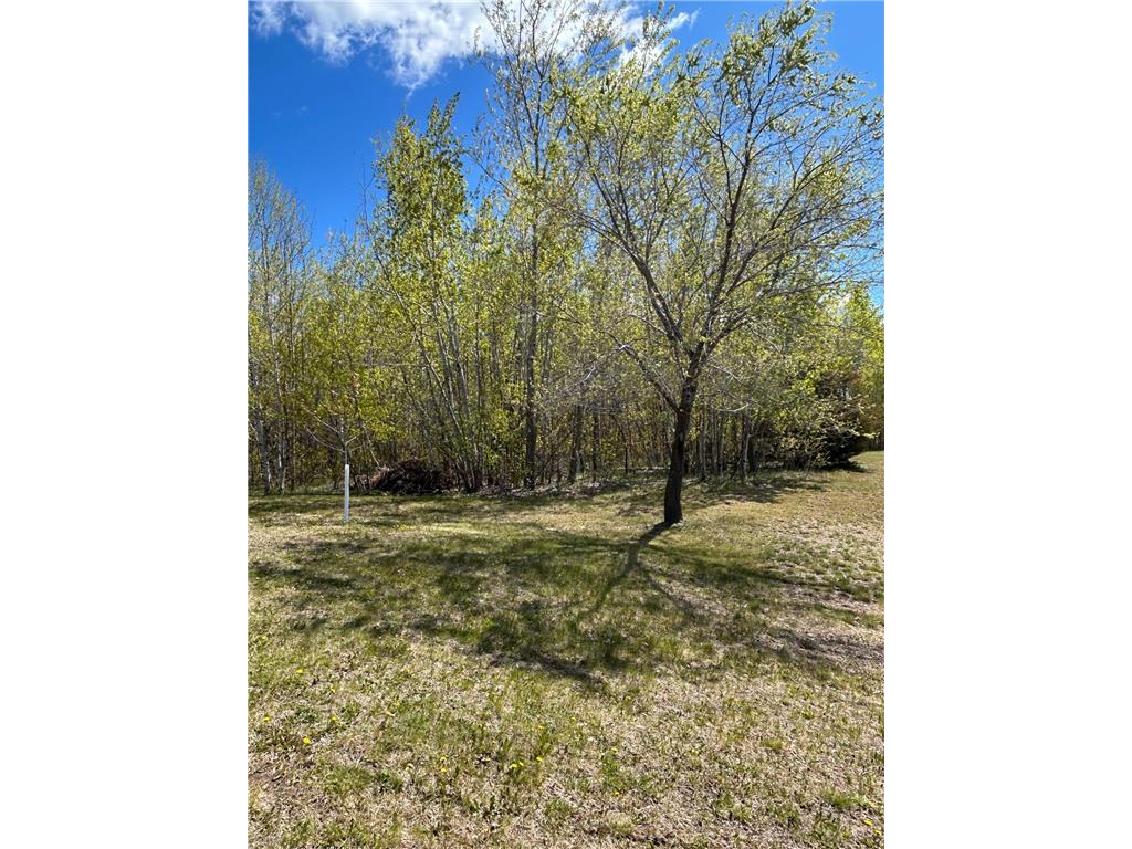 25921 103rd Street NW Livonia Twp MN 55398 7070998 image50