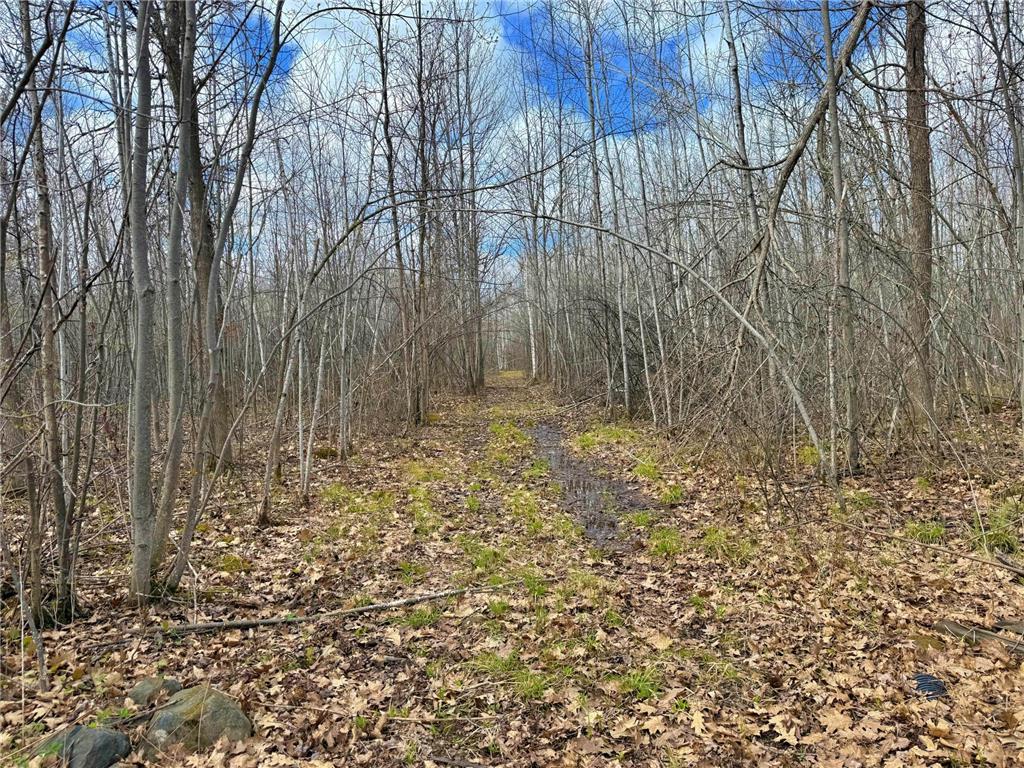 25929 Groningen Road Sandstone MN 55072 7065631 image37