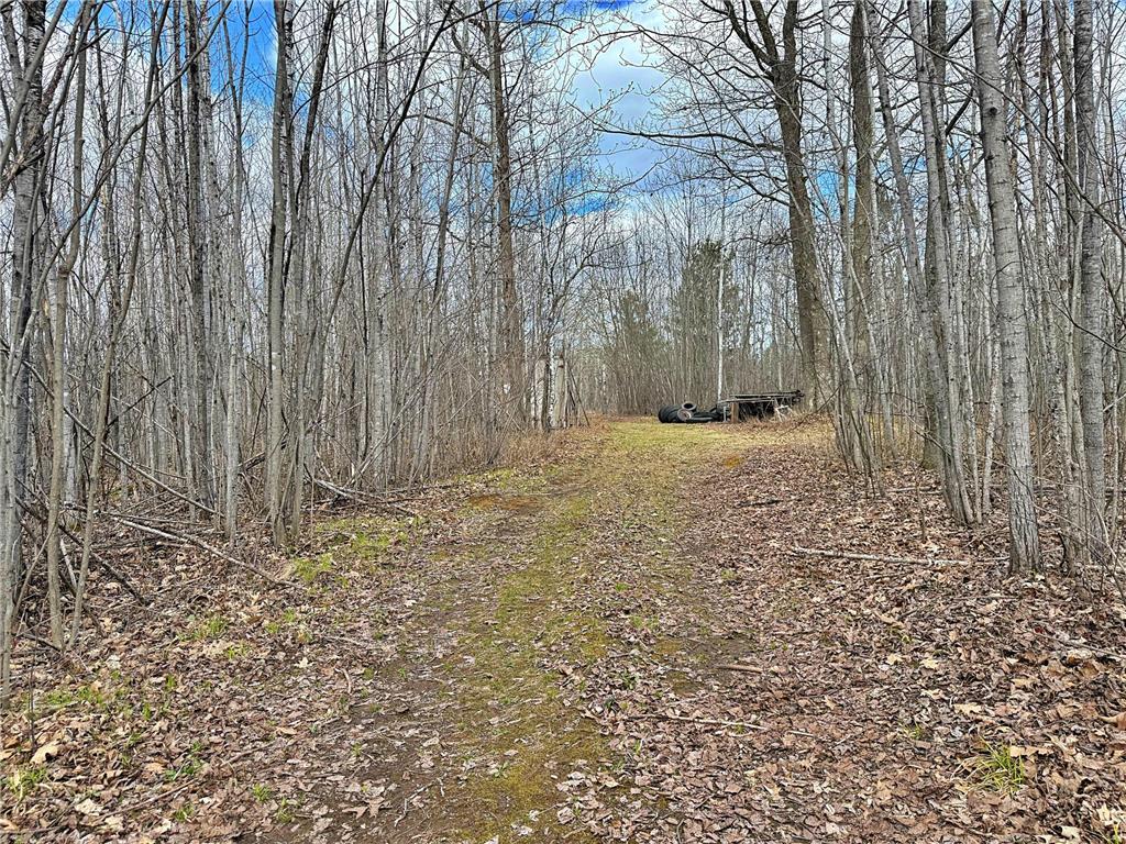 25929 Groningen Road Sandstone MN 55072 7065631 image40