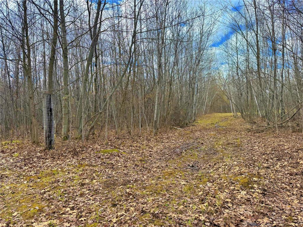 25929 Groningen Road Sandstone MN 55072 7065631 image41