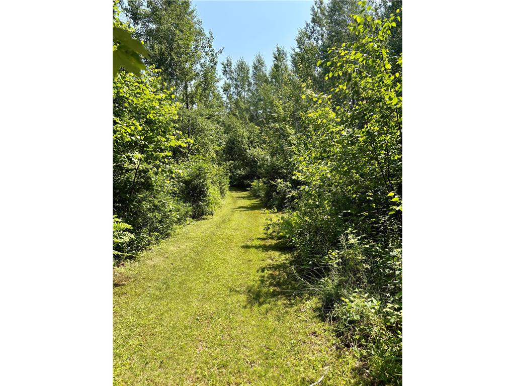 2594 County Road 8 Barnum Twp MN 55707 6758896 image60