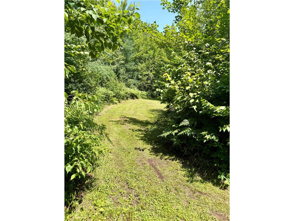 2594 County Road 8 Barnum Twp MN 55707 6758896 image61
