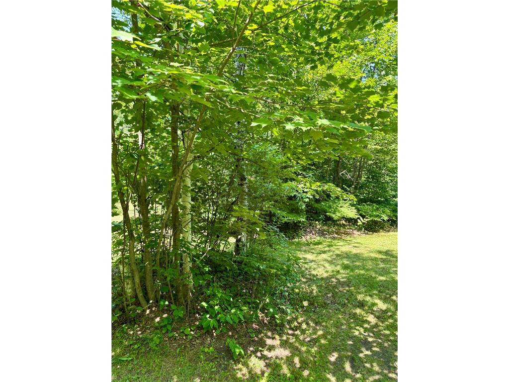 2594 County Road 8 Barnum Twp MN 55707 6758896 image62