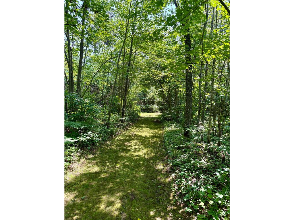 2594 County Road 8 Barnum Twp MN 55707 6758896 image63