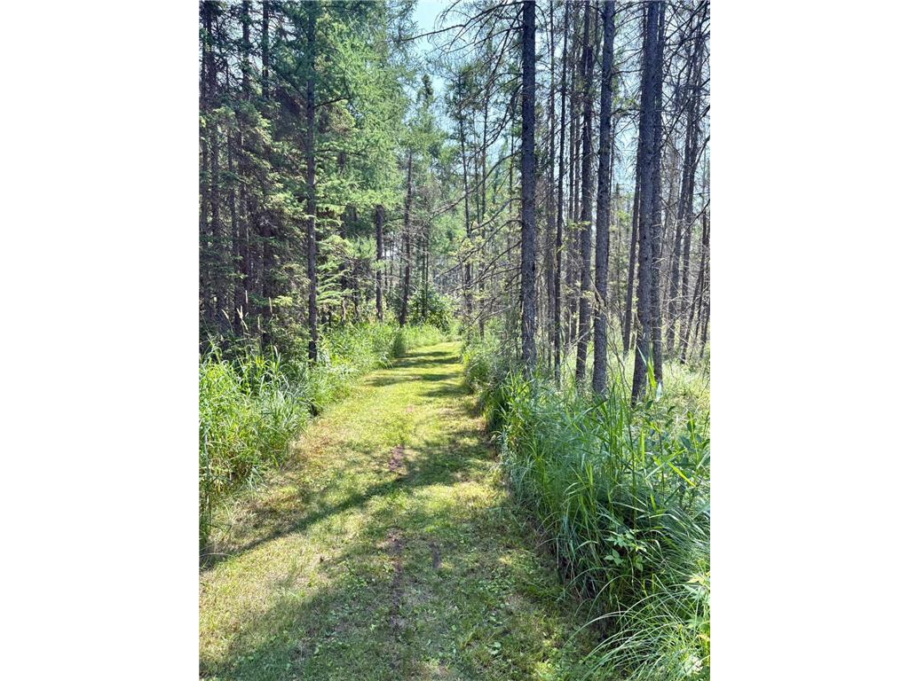 2594 County Road 8 Barnum Twp MN 55707 6758896 image64