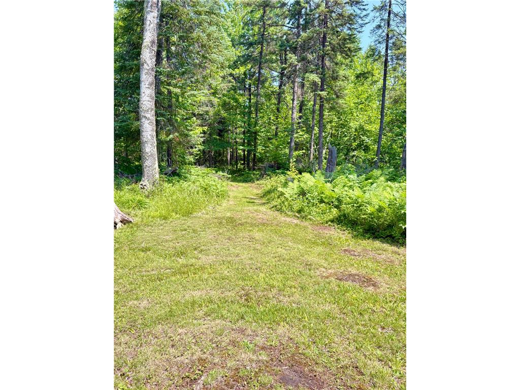 2594 County Road 8 Barnum Twp MN 55707 6758896 image67