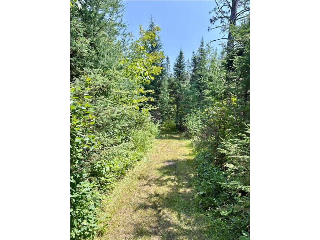 2594 County Road 8 Barnum Twp MN 55707 6758896 image68