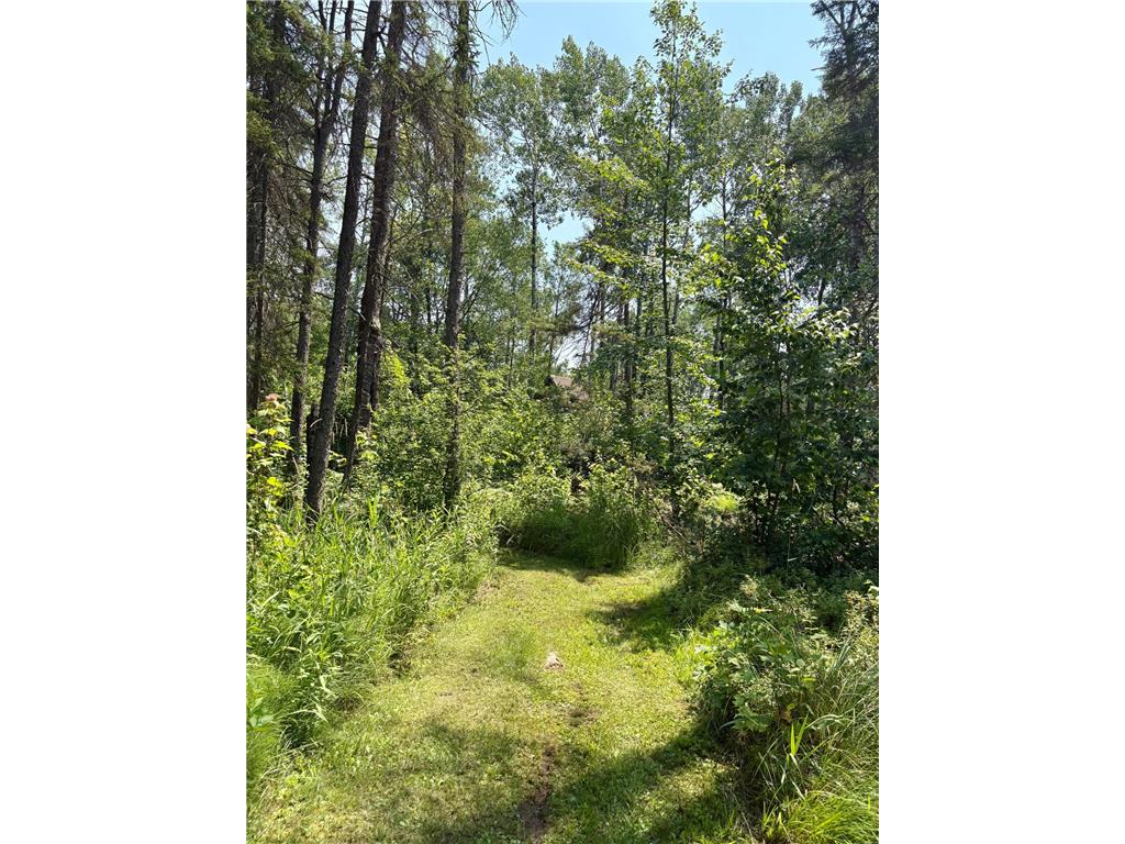 2594 County Road 8 Barnum Twp MN 55707 6758896 image69
