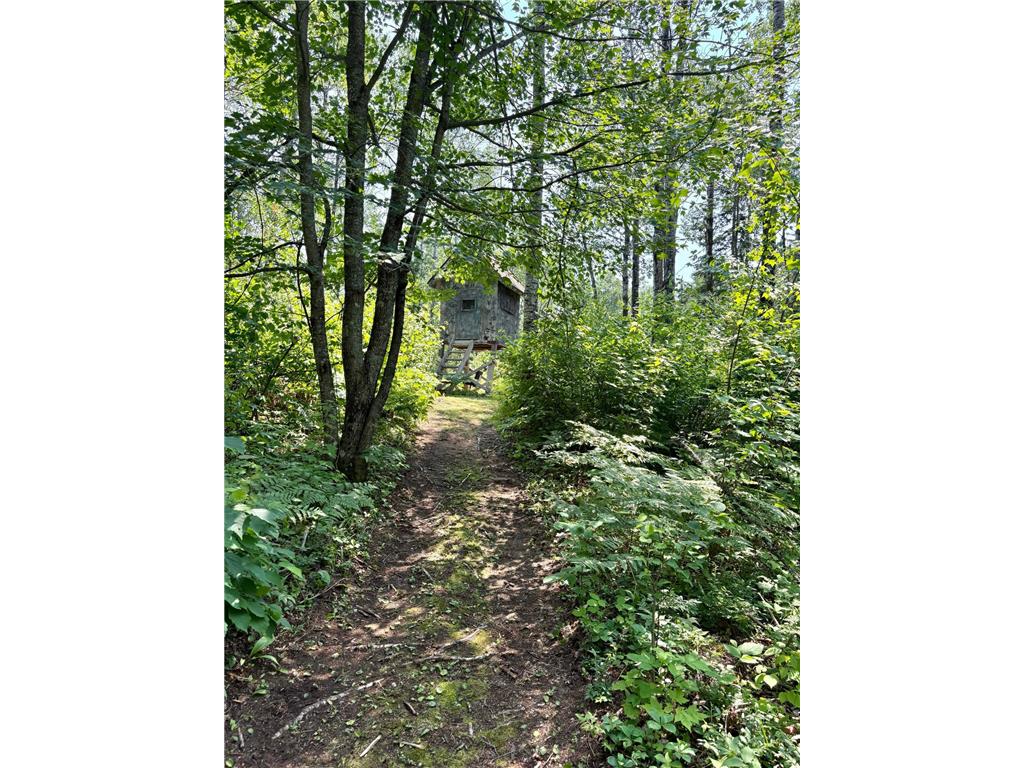 2594 County Road 8 Barnum Twp MN 55707 6758896 image70