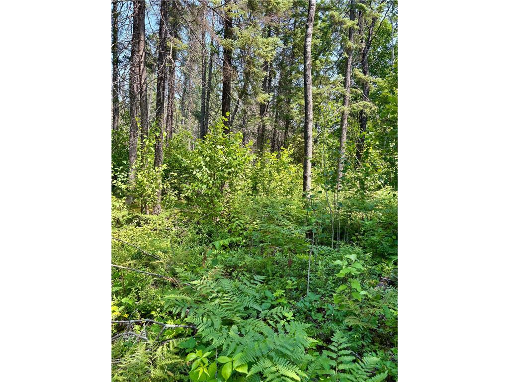 2594 County Road 8 Barnum Twp MN 55707 6758896 image78