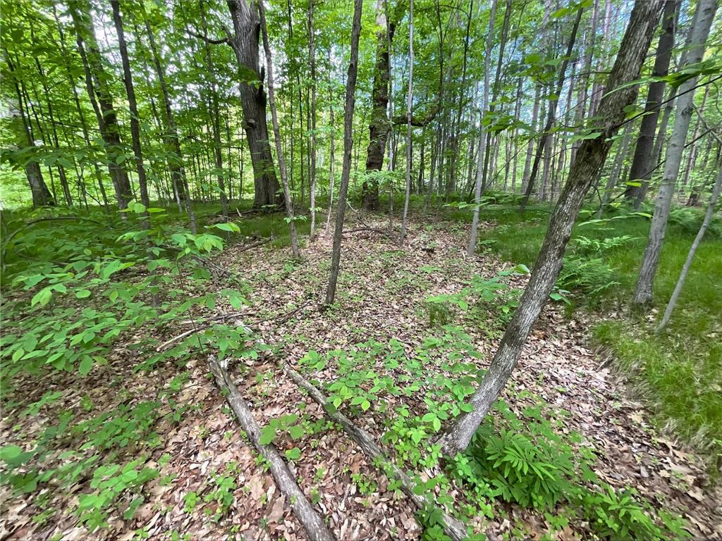 25945 Pine View Beach Trail Brook Park MN 55007 - Pomroy Lake 7087971 image10