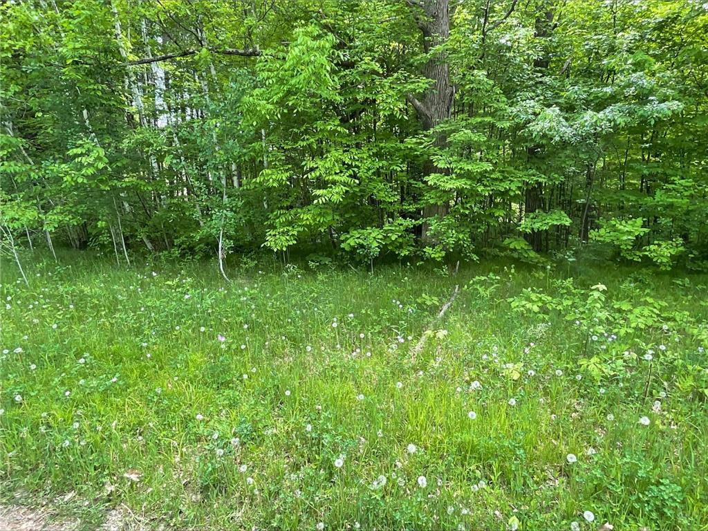 25945 Pine View Beach Trail Brook Park MN 55007 - Pomroy Lake 7087971 image11