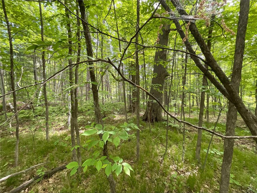 25945 Pine View Beach Trail Brook Park MN 55007 - Pomroy Lake 7087971 image15