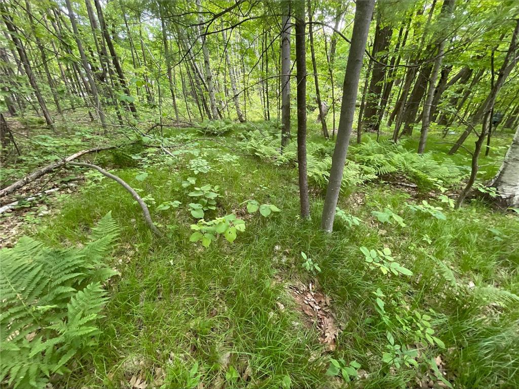 25945 Pine View Beach Trail Brook Park MN 55007 - Pomroy Lake 7087971 image2