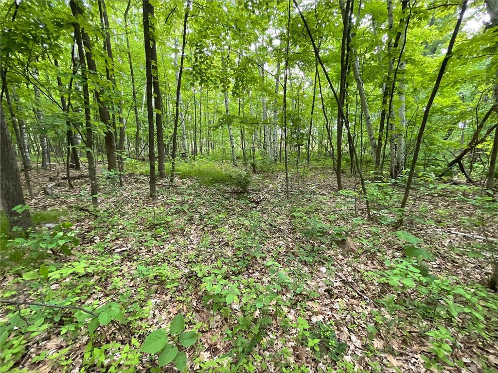 25945 Pine View Beach Trail Brook Park MN 55007 - Pomroy Lake 7087971 image4