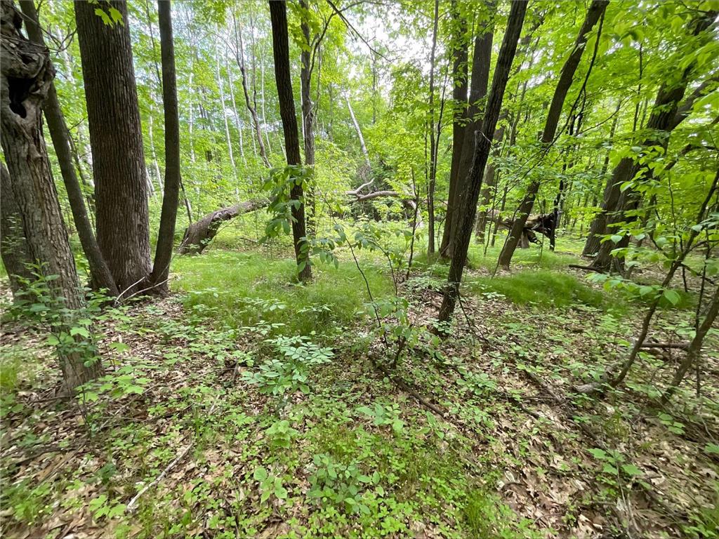 25945 Pine View Beach Trail Brook Park MN 55007 - Pomroy Lake 7087971 image5