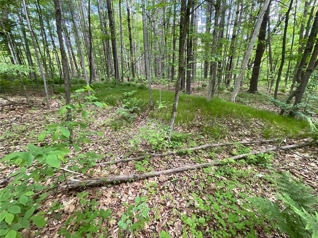 25945 Pine View Beach Trail Brook Park MN 55007 - Pomroy Lake 7087971 image6