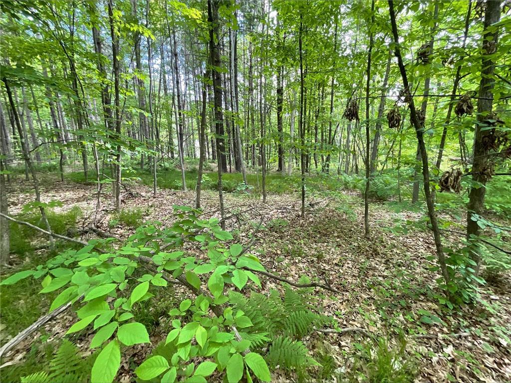 25945 Pine View Beach Trail Brook Park MN 55007 - Pomroy Lake 7087971 image7