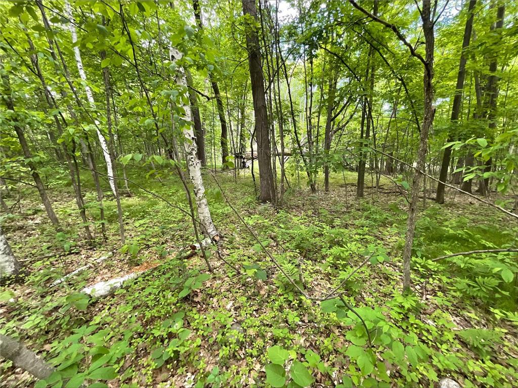 25945 Pine View Beach Trail Brook Park MN 55007 - Pomroy Lake 7087971 image8