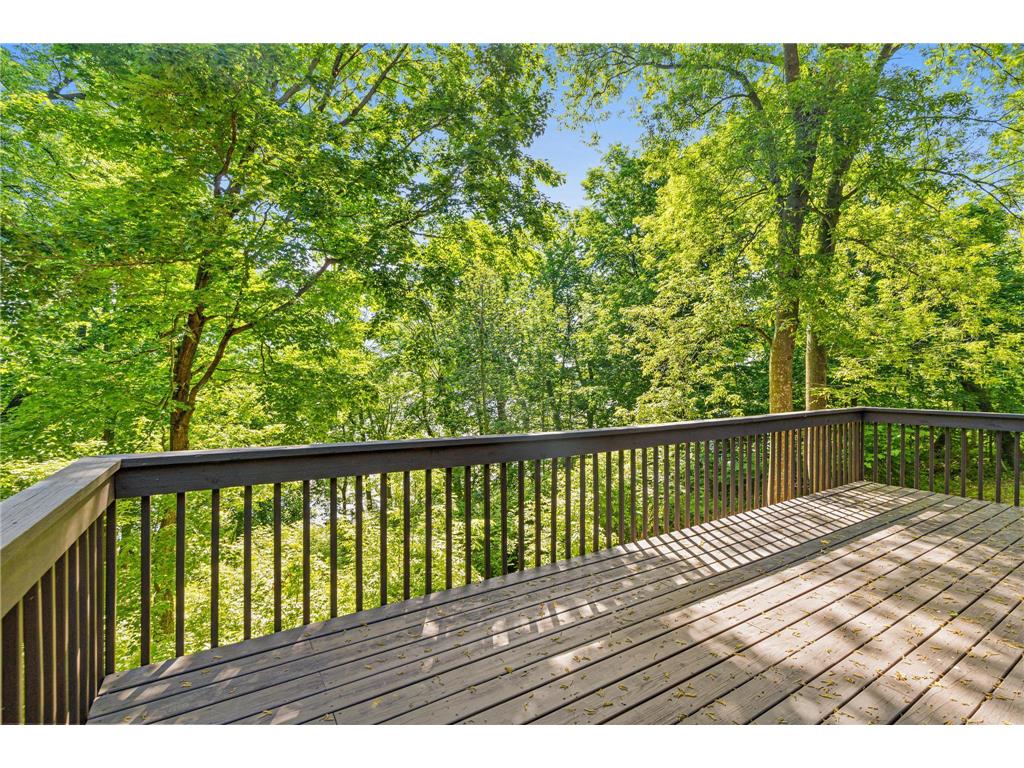2595 86th Court W Webster Twp MN 55057 - Union Lake 7073384 image42