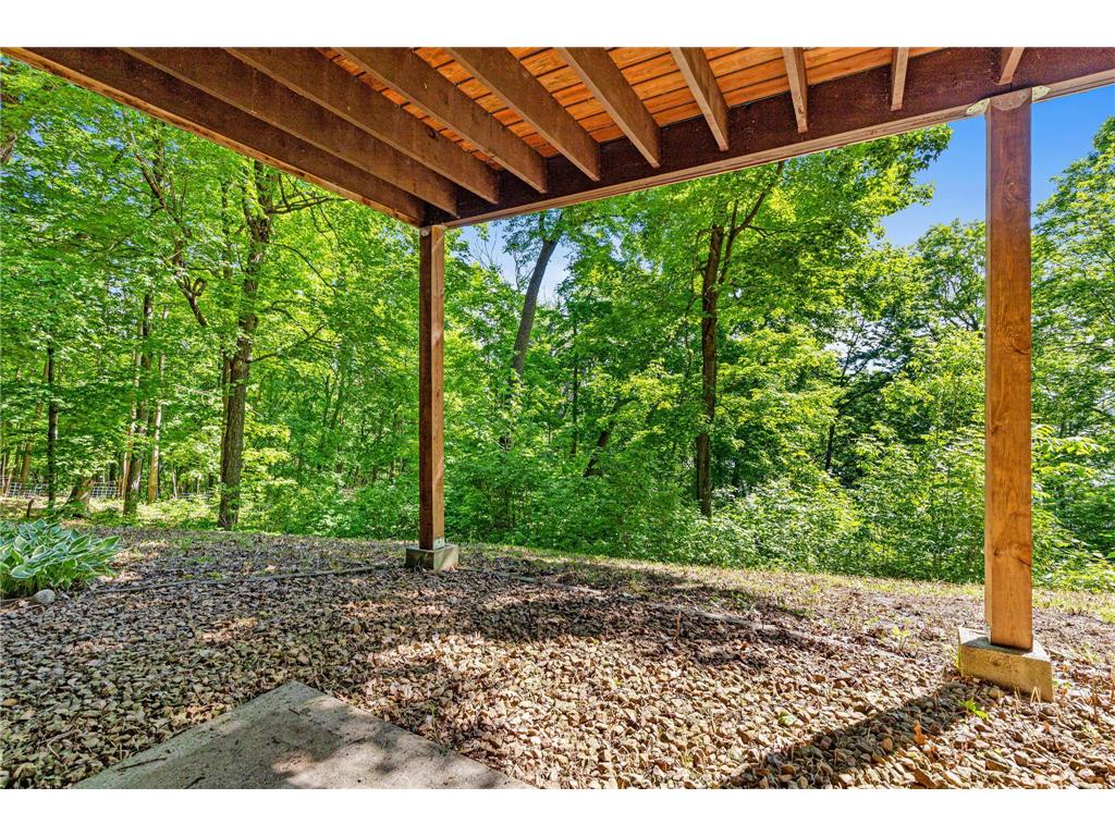 2595 86th Court W Webster Twp MN 55057 - Union Lake 7073384 image43